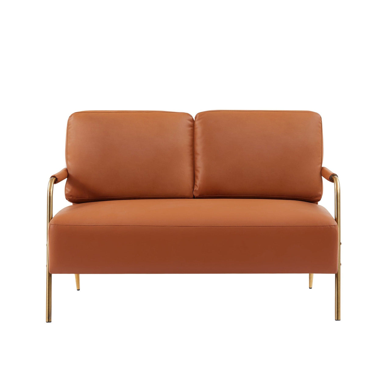 ARLO 50" Modern Loveseat