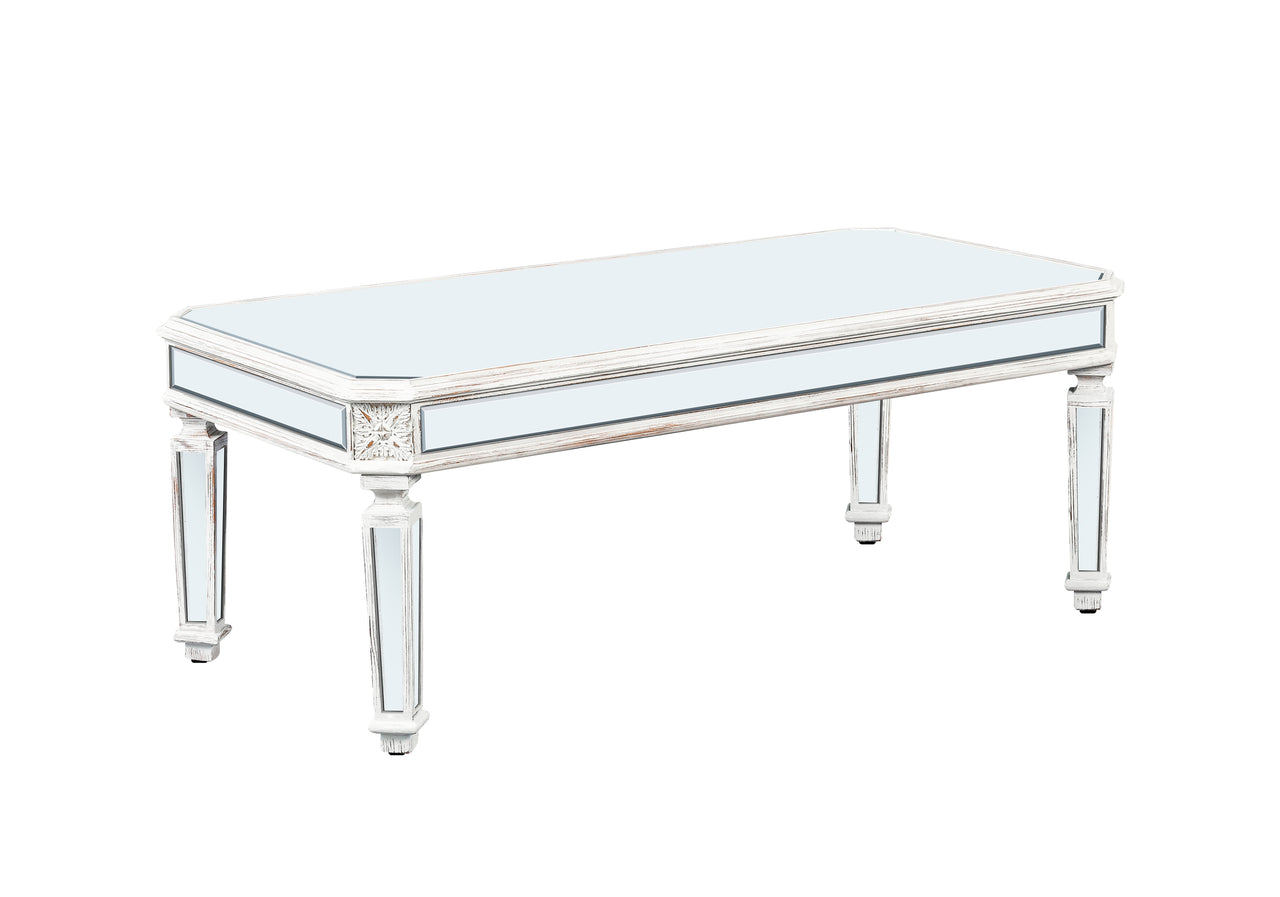 BOLVEX 48" Coffee Table